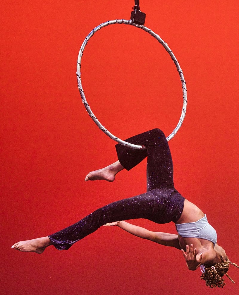 Aerial Hoop
