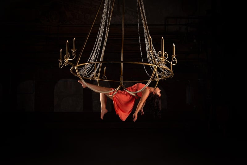 Aerial Hoop